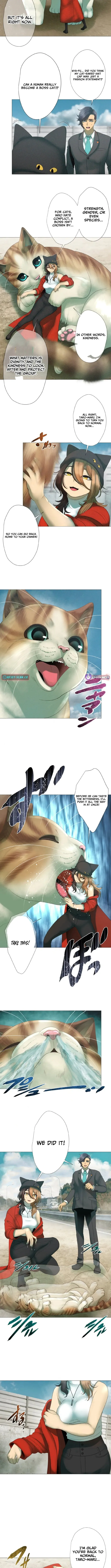 Monster Cat Punch Chapter 4 page 11 - 