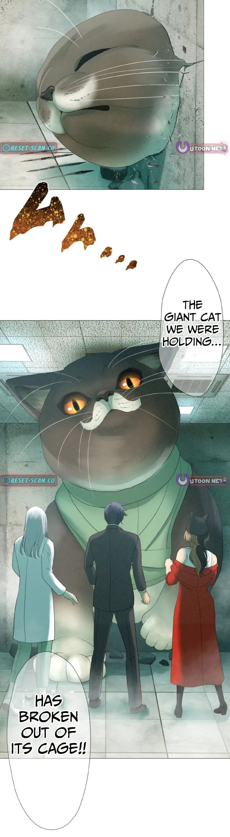 Monster Cat Punch Chapter 5 page 12 - 