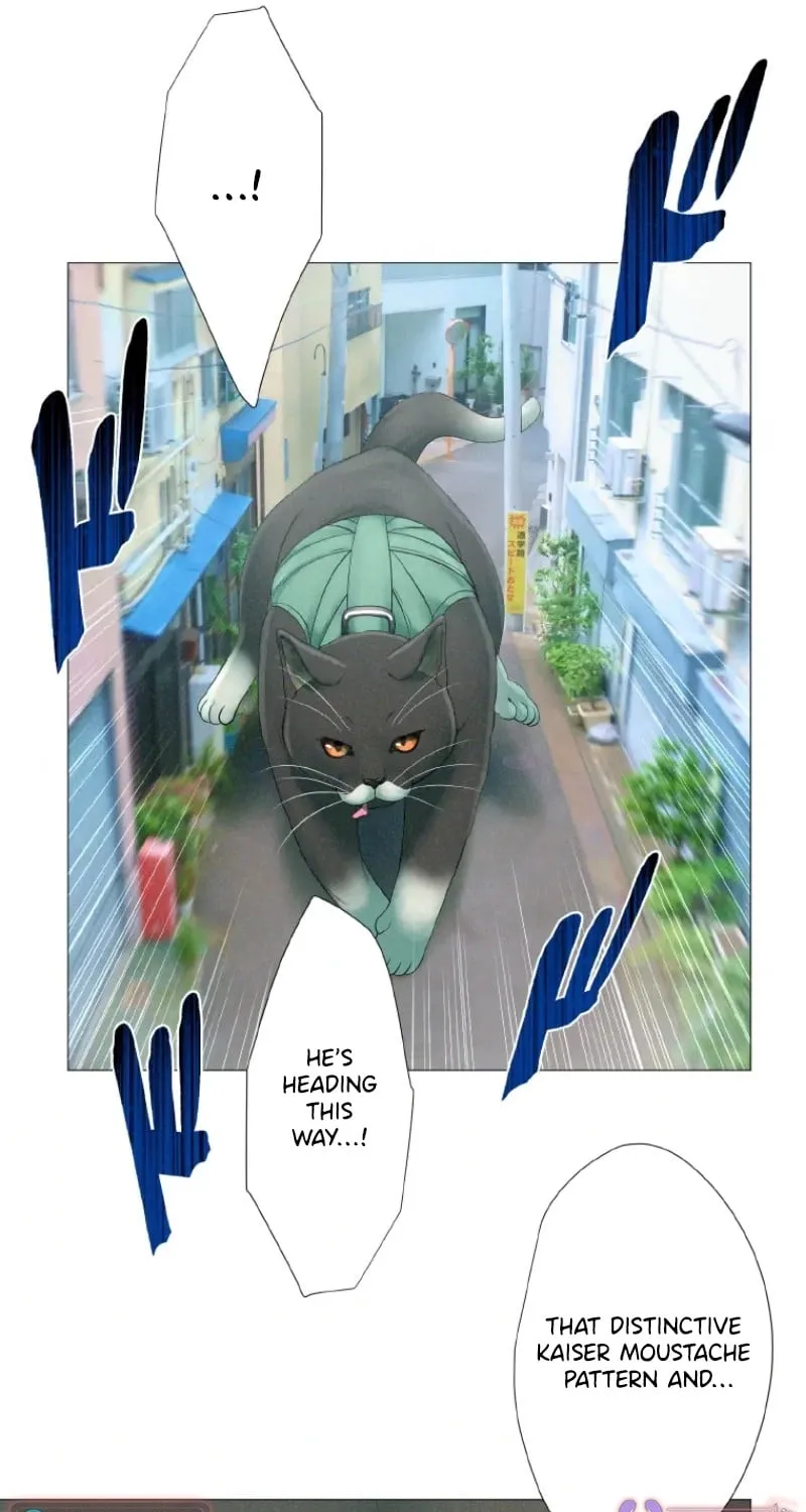 Monster Cat Punch Chapter 7 page 17 - 