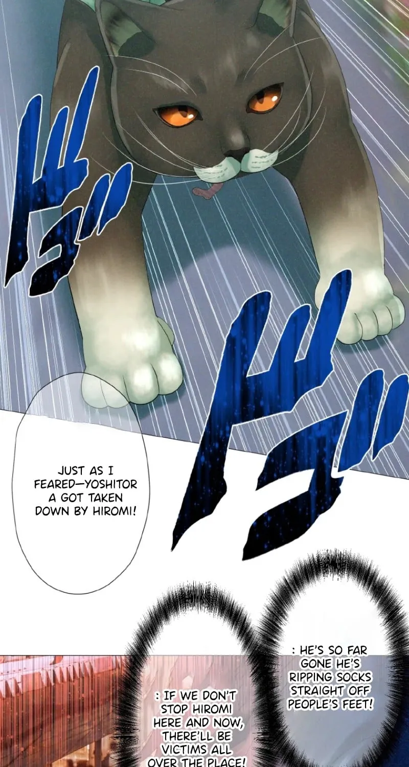 Monster Cat Punch Chapter 7 page 19 - 