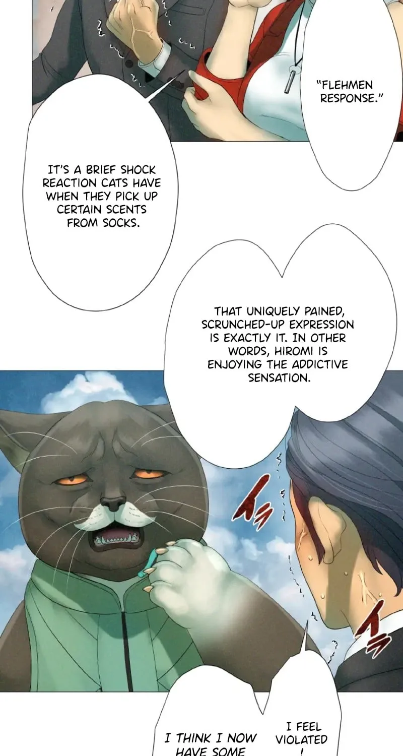 Monster Cat Punch Chapter 7 page 27 - 