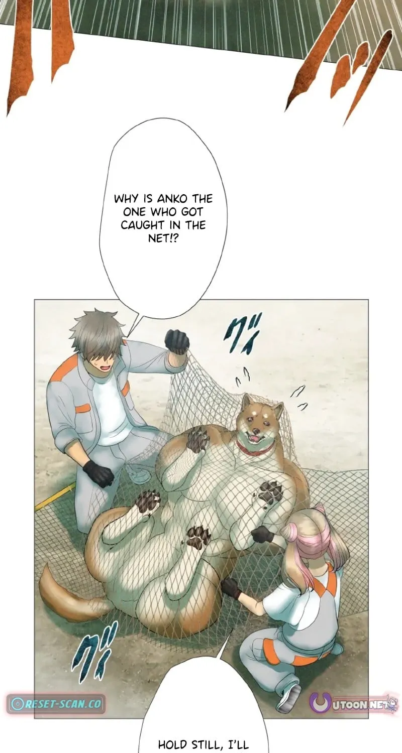 Monster Cat Punch Chapter 7 page 42 - 