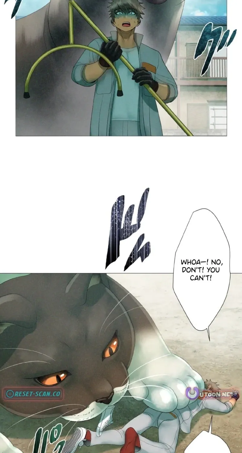Monster Cat Punch Chapter 7 page 50 - 