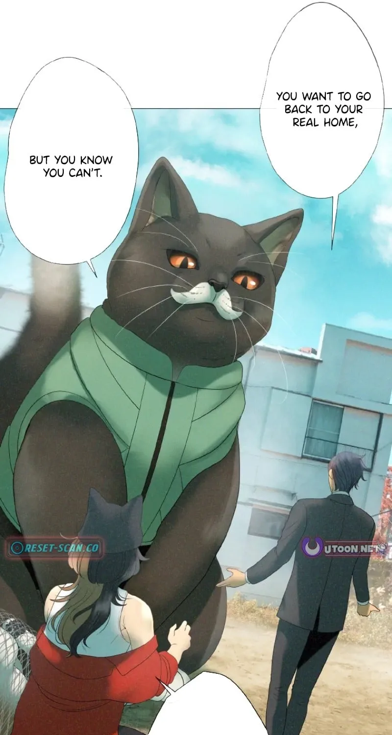 Monster Cat Punch Chapter 7 page 68 - 