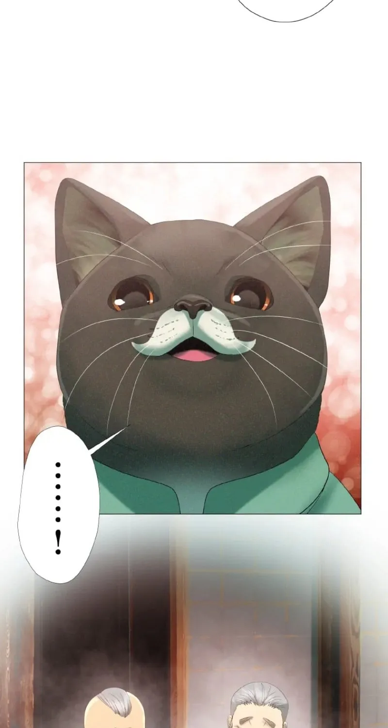 Monster Cat Punch Chapter 7 page 73 - 