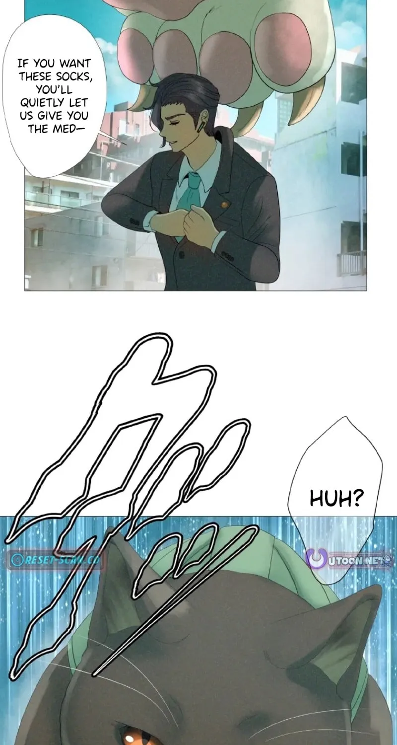 Monster Cat Punch Chapter 7 page 76 - 