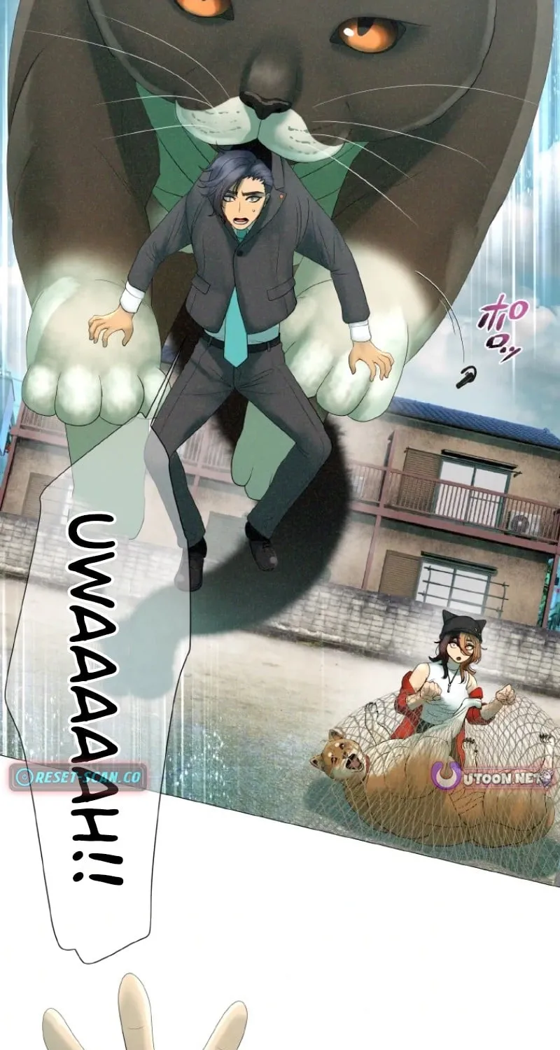 Monster Cat Punch Chapter 7 page 77 - 