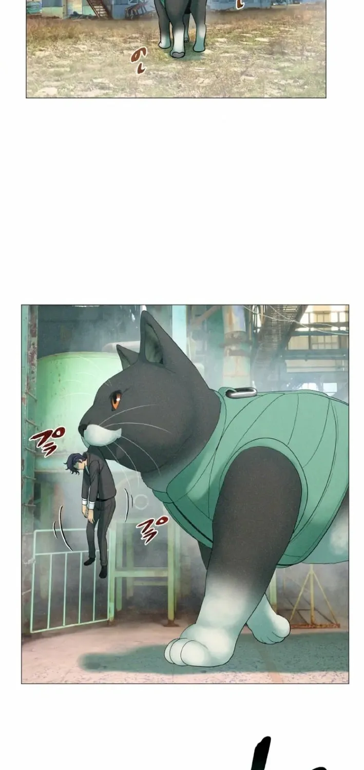 Monster Cat Punch Chapter 8 page 18 - 