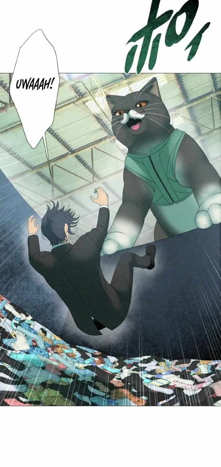 Monster Cat Punch Chapter 8 page 19 - 