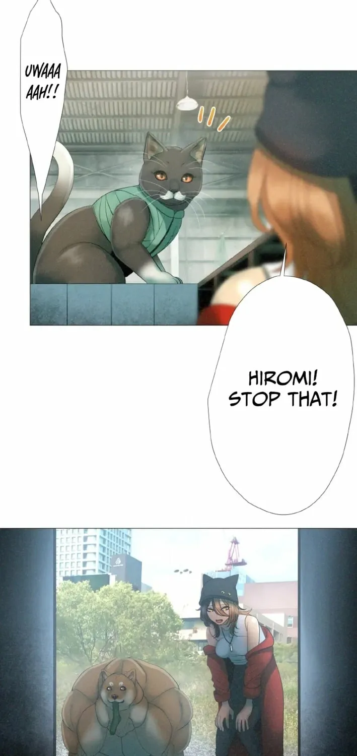 Monster Cat Punch Chapter 8 page 25 - 