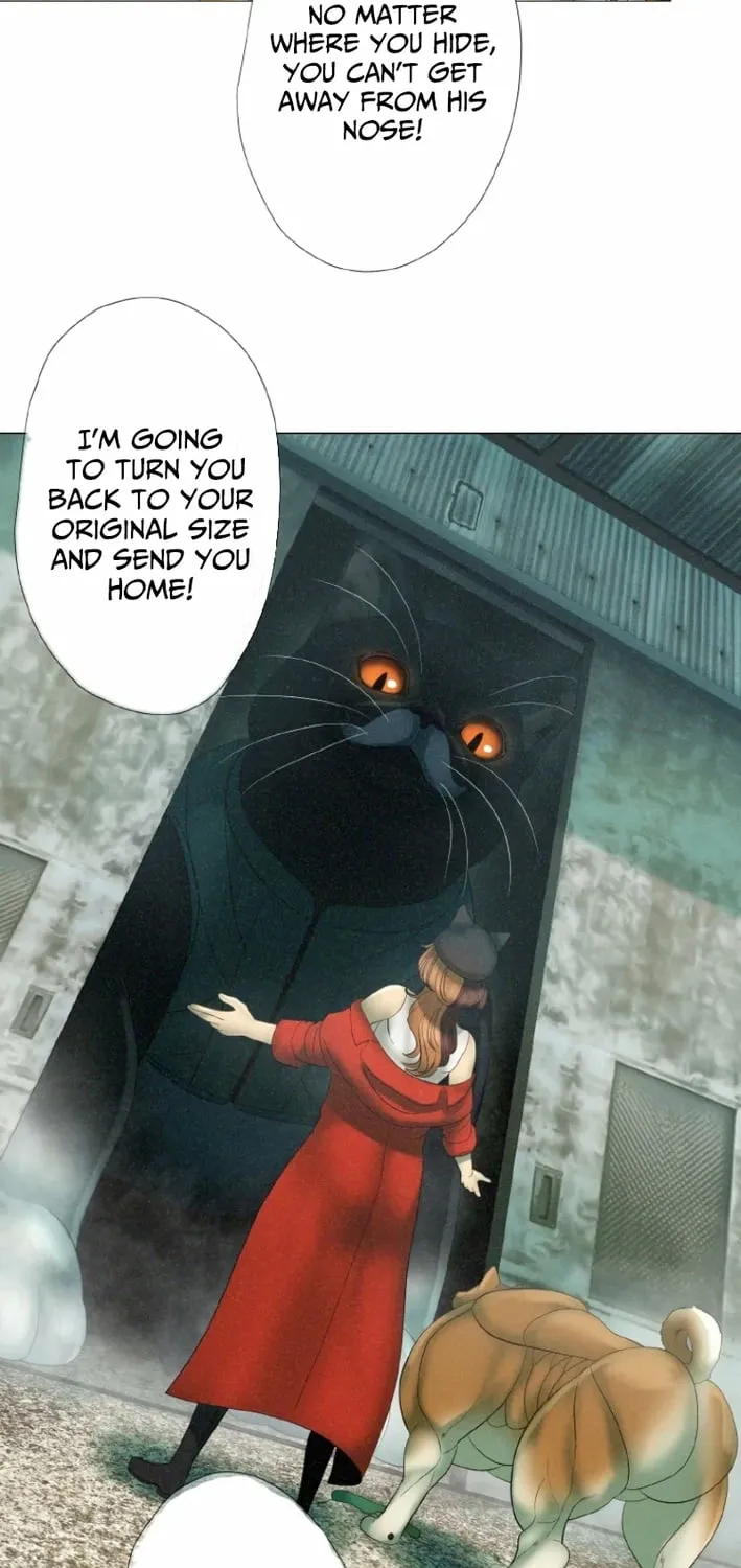 Monster Cat Punch Chapter 8 page 27 - 