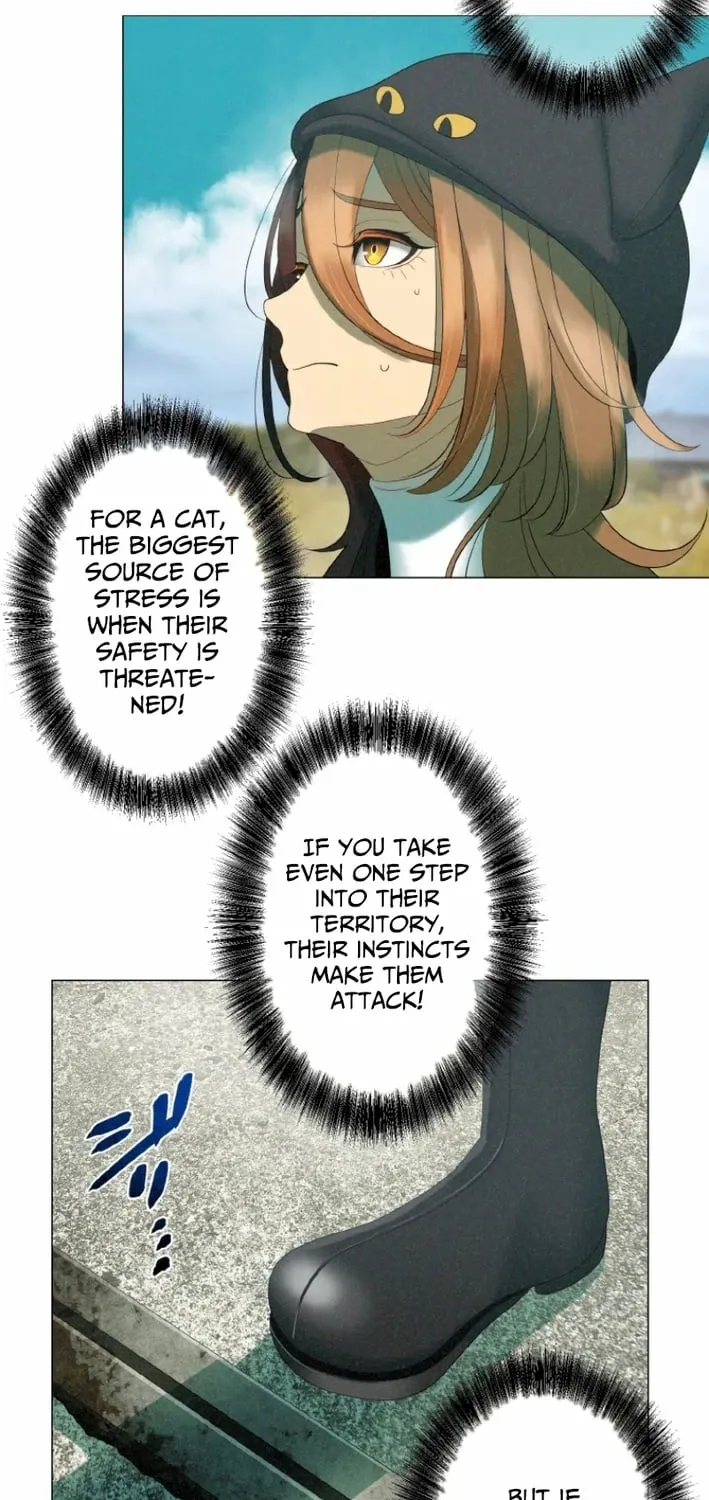 Monster Cat Punch Chapter 8 page 29 - 