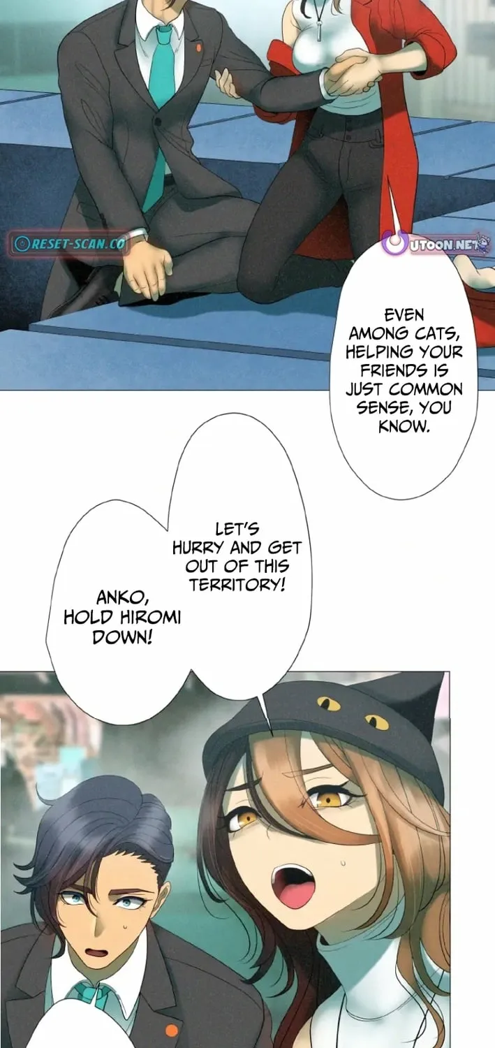 Monster Cat Punch Chapter 8 page 42 - 