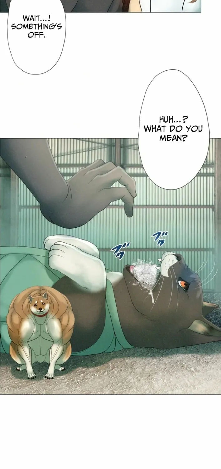 Monster Cat Punch Chapter 8 page 43 - 