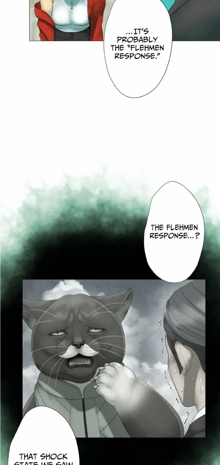 Monster Cat Punch Chapter 8 page 46 - 