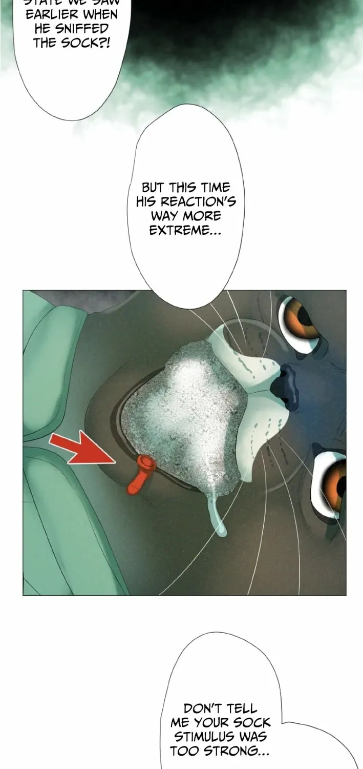 Monster Cat Punch Chapter 8 page 47 - 