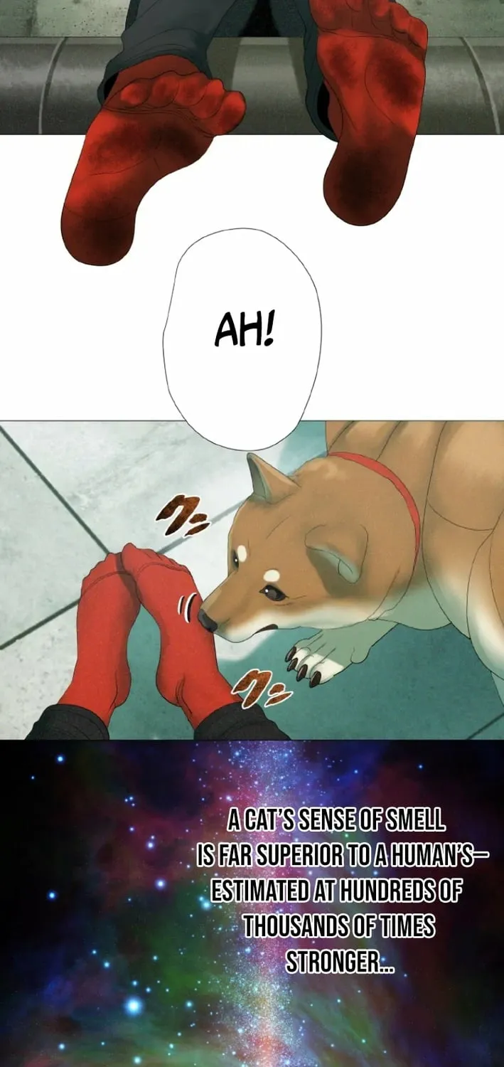 Monster Cat Punch Chapter 8 page 71 - 