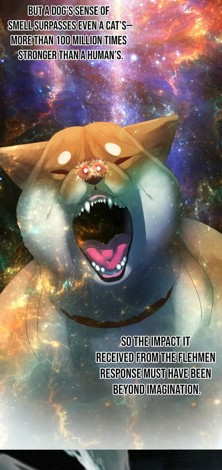Monster Cat Punch Chapter 8 page 73 - 