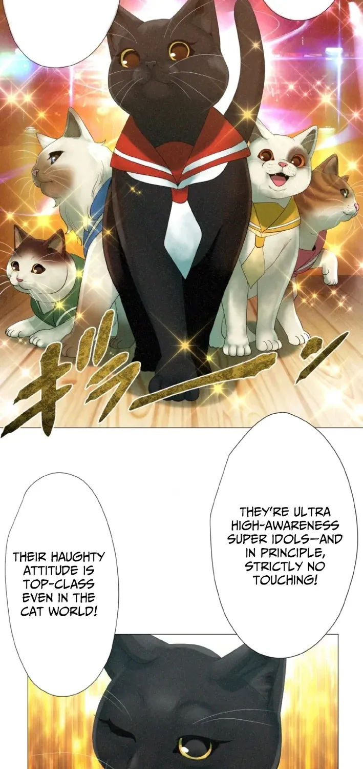 Monster Cat Punch Chapter 9 page 25 - 