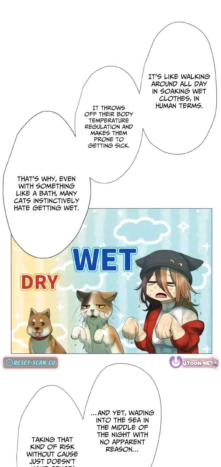 Monster Cat Punch Chapter 9 page 53 - 