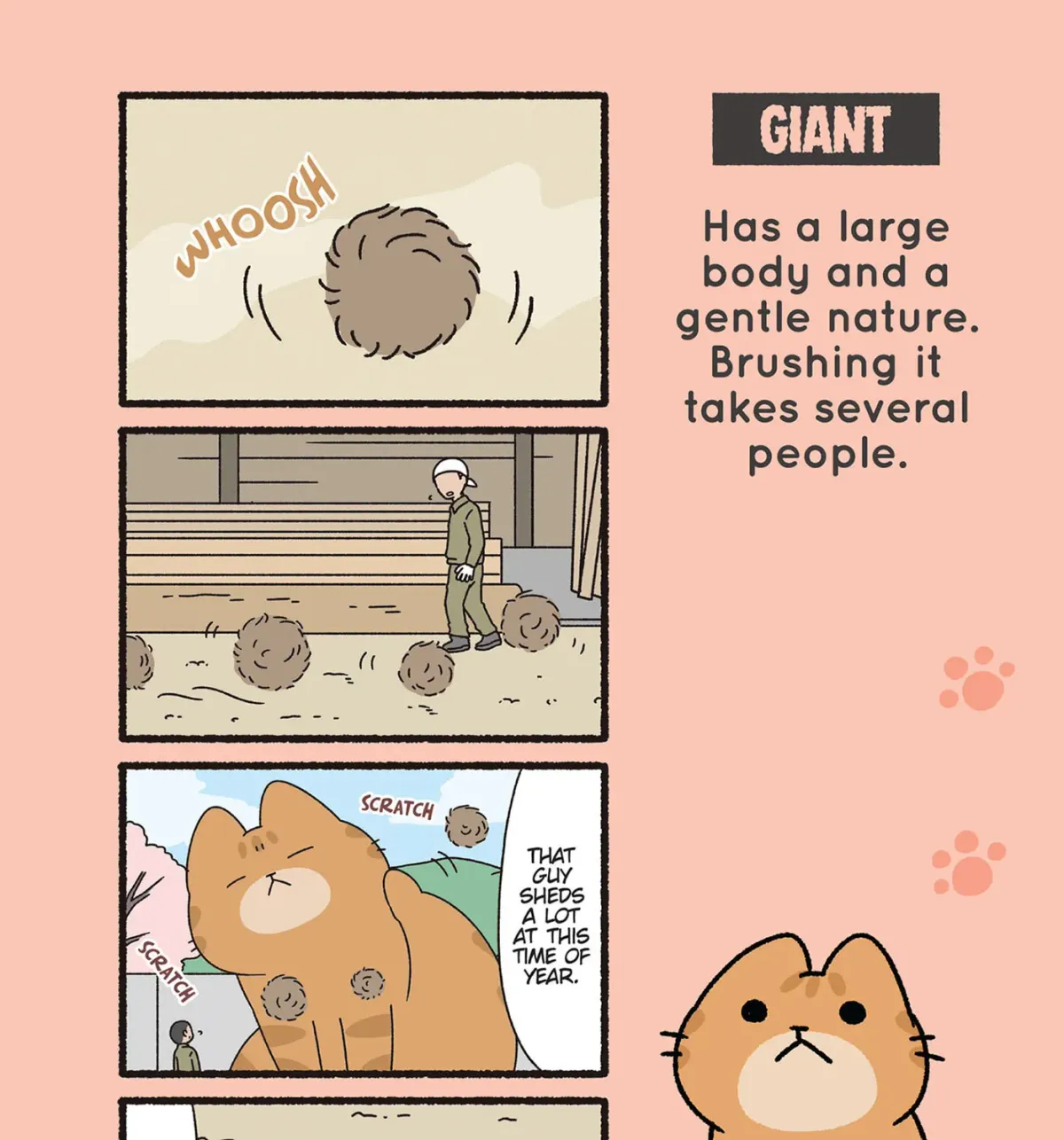 Monster Cats Chapter 50 page 1 - 