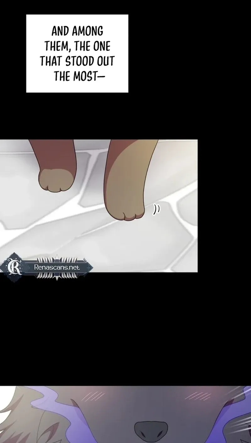 Monster Dressing Room Chapter 46 page 28 - 