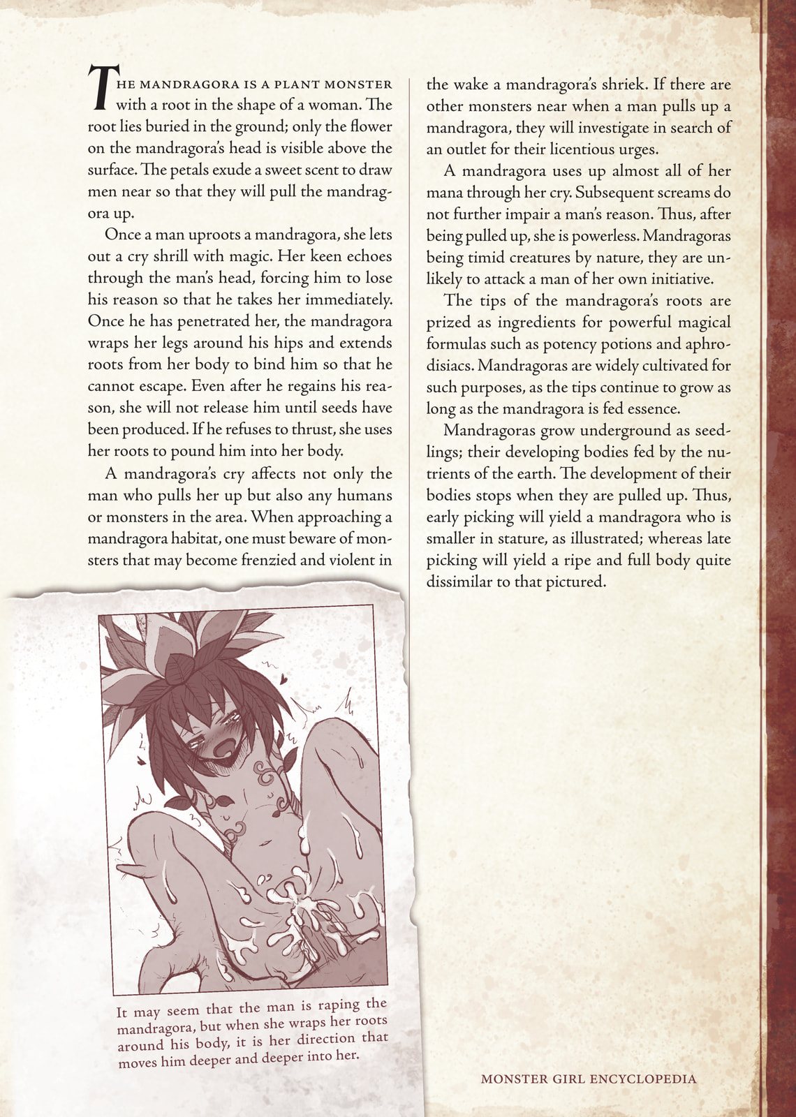 Monster Girl Encyclopedia Chapter 1 page 38 - 