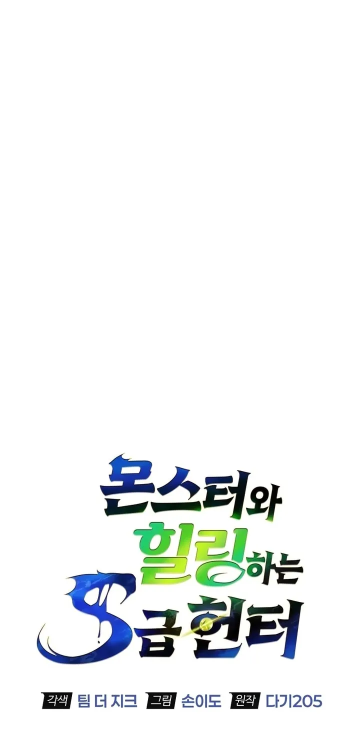 Monster-wa Healing-haneun S-geup Hunter Chapter 1 page 42 - 