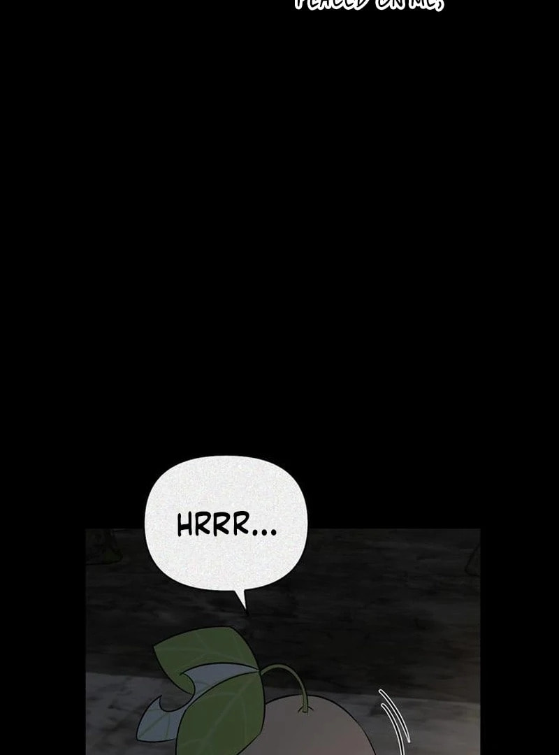 Monster-wa Healing-haneun S-geup Hunter Chapter 24 page 117 - 