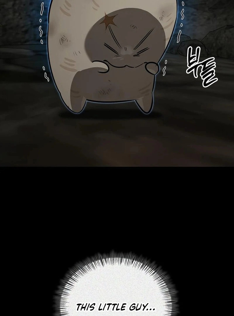 Monster-wa Healing-haneun S-geup Hunter Chapter 24 page 70 - 