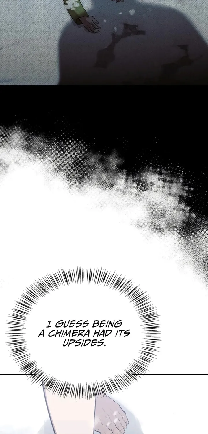 Monster-wa Healing-haneun S-geup Hunter Chapter 3 page 54 - 