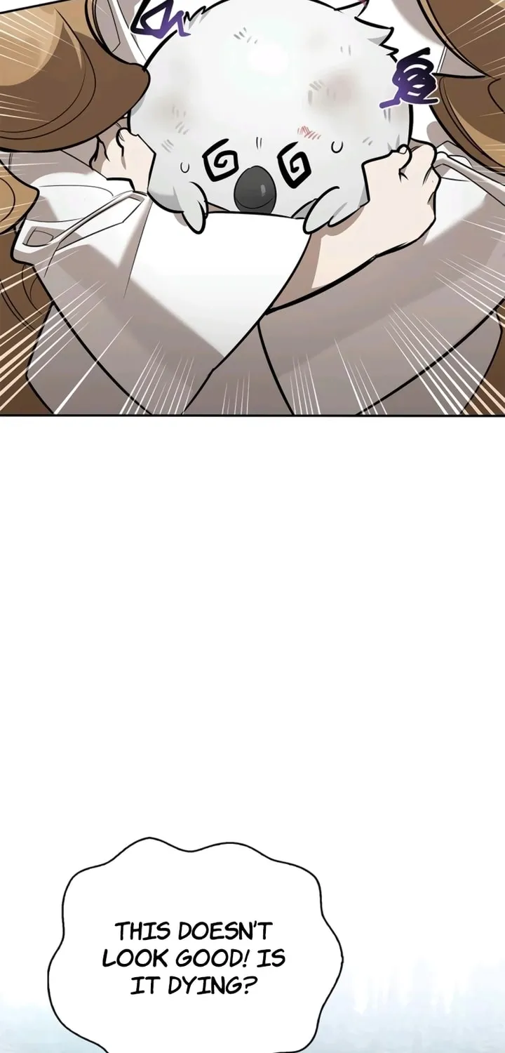 Monster-wa Healing-haneun S-geup Hunter Chapter 6 page 3 - 