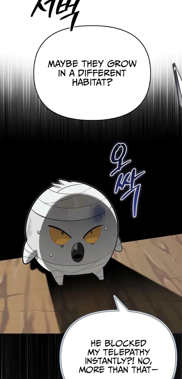Monster-wa Healing-haneun S-geup Hunter Chapter 6 page 61 - 