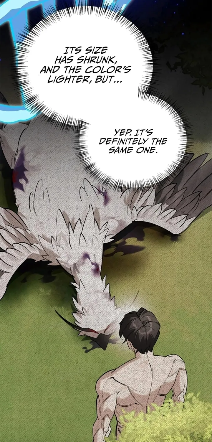 Monster-wa Healing-haneun S-geup Hunter Chapter 6 page 9 - 