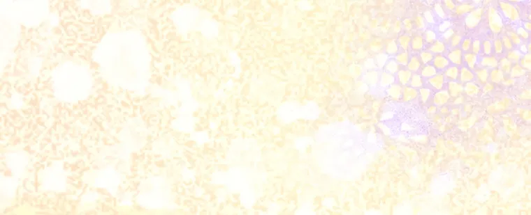 Mother