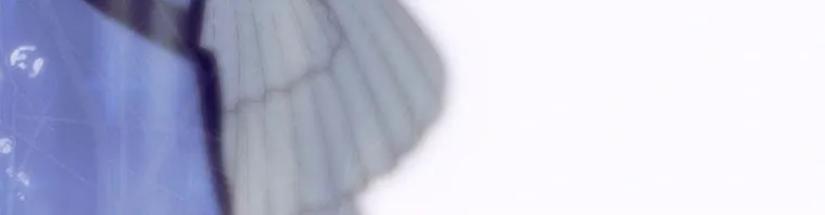 Mother