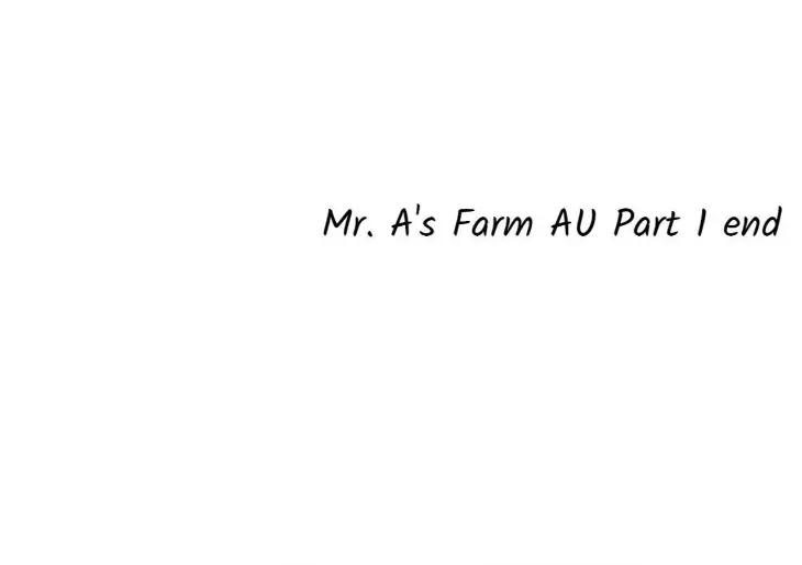Mr.A