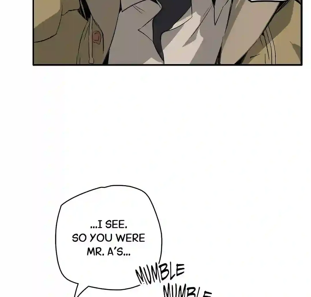 Mr.A