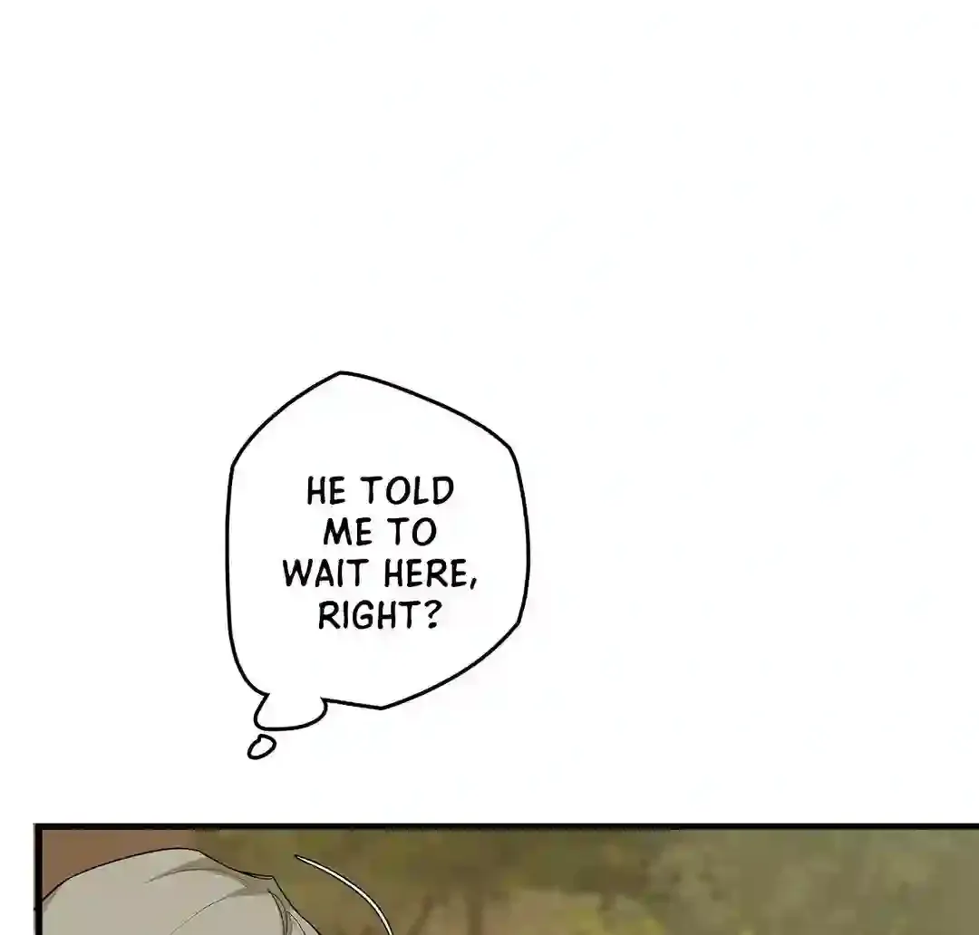 Mr.A