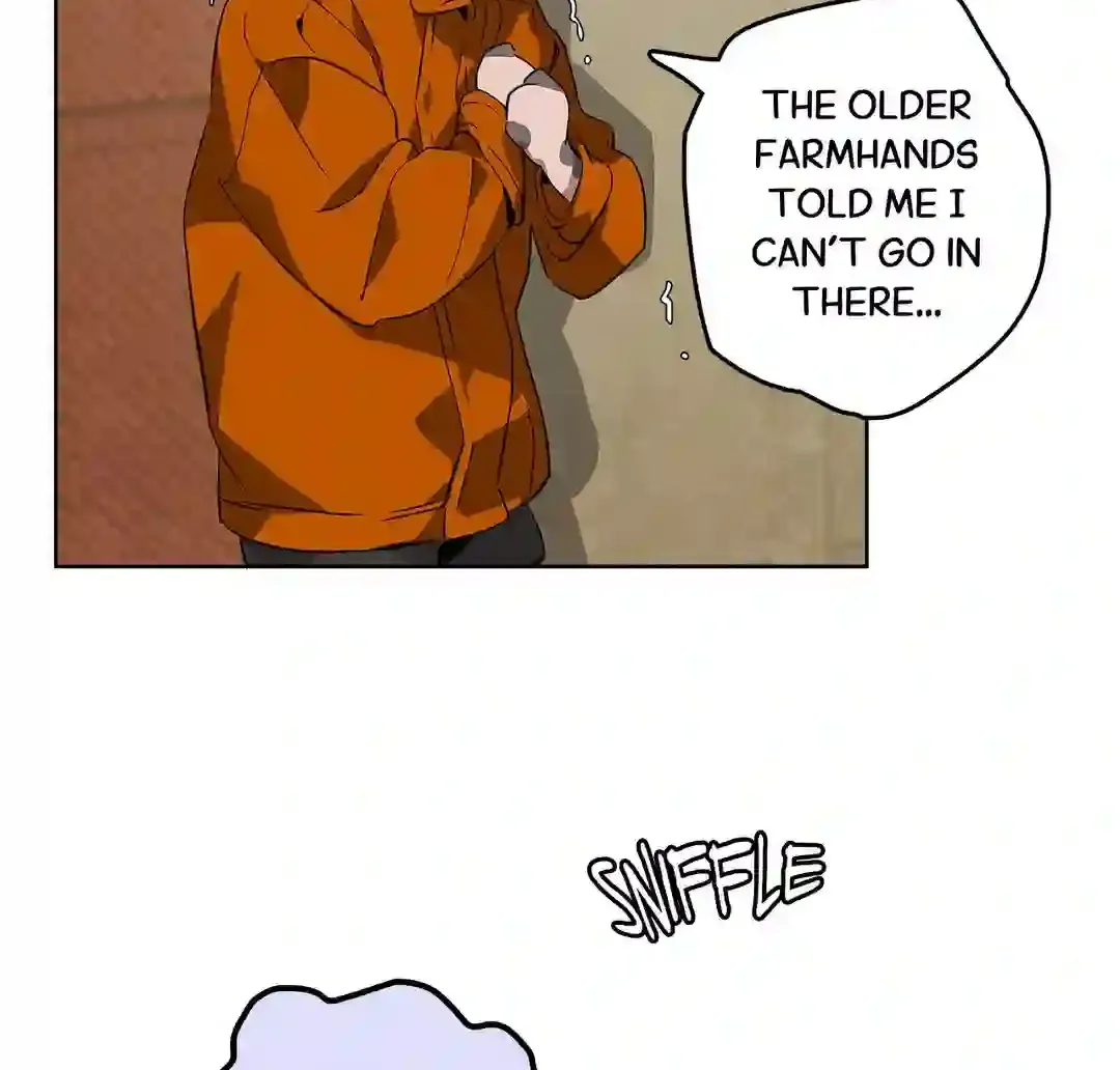 Mr.A