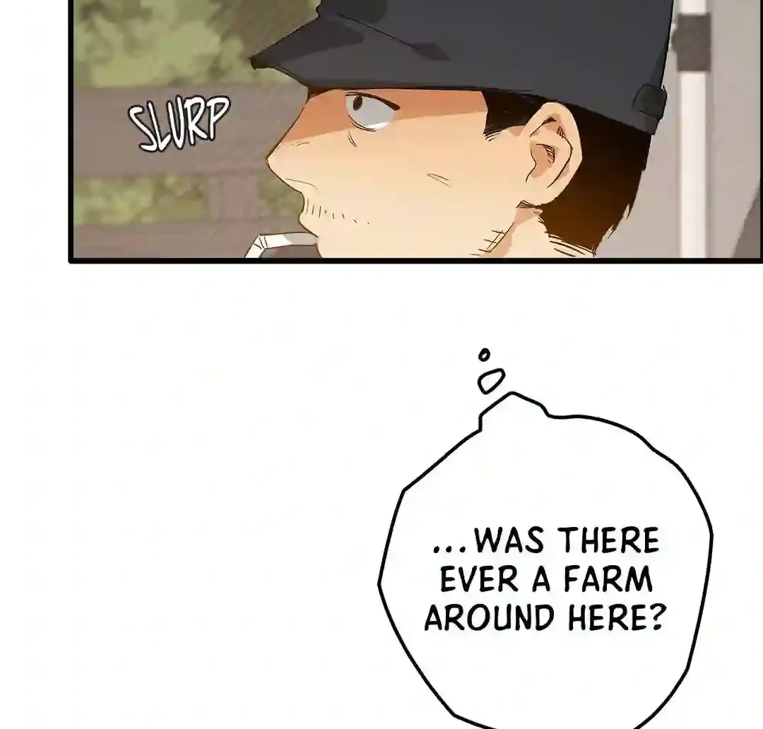 Mr.A
