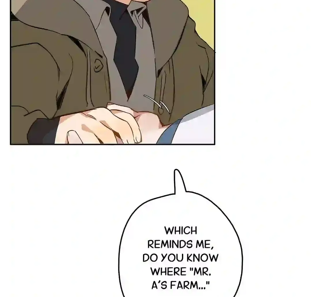 Mr.A