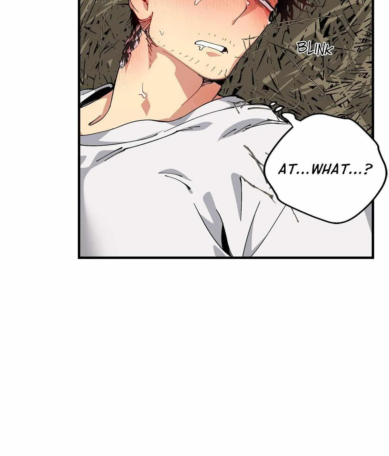 Mr.A