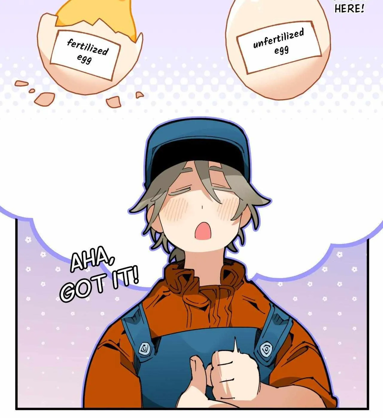 Mr.A