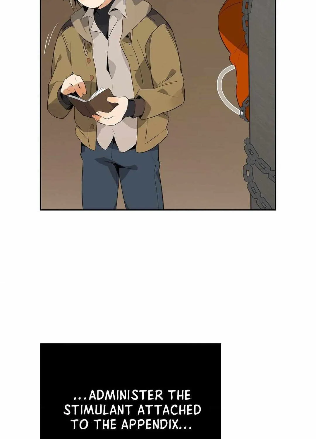 Mr.A