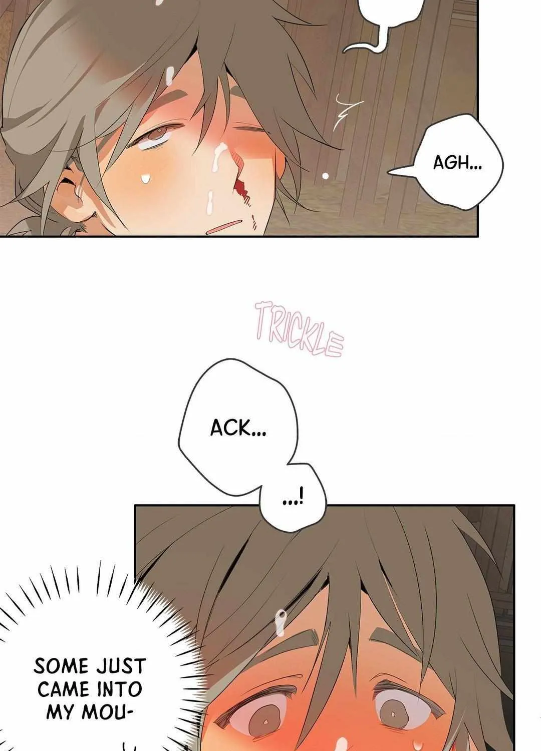 Mr.A