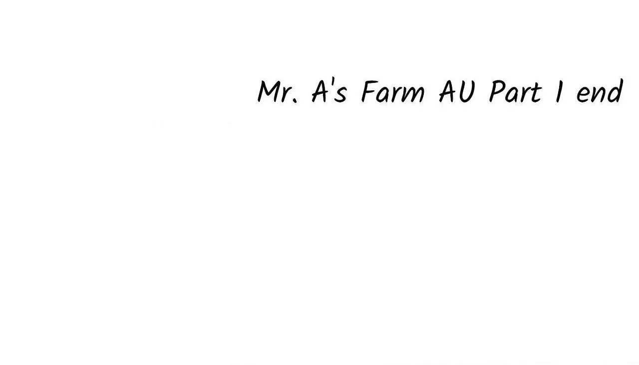 Mr.A