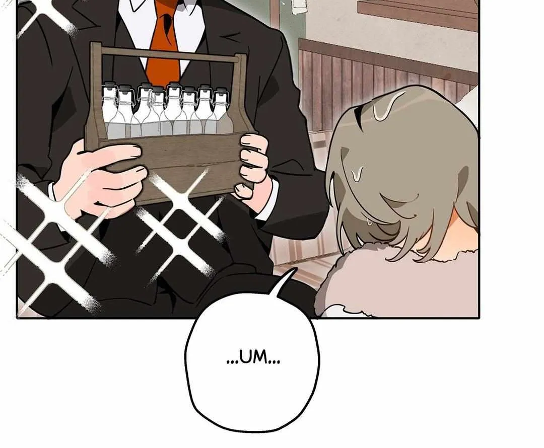 Mr.A