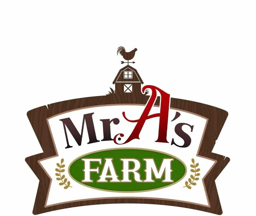 Mr.A
