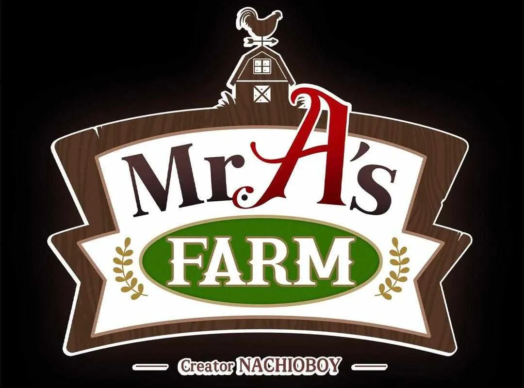 Mr.A